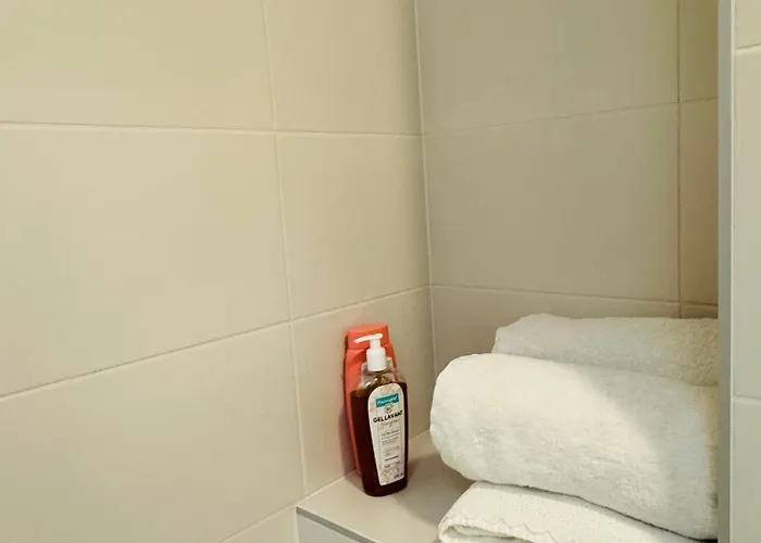 Vu Mont Blanc Parking Terrasse Chamonix