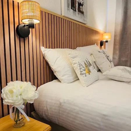 Vu Mont Blanc Parking Terrasse Chamonix