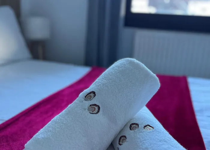 Appartement Vu Mont Blanc Parking Terrasse *