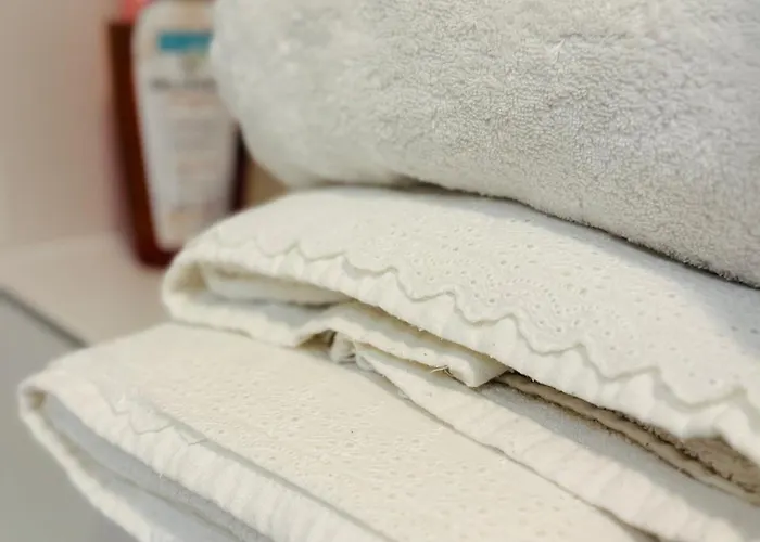 Vu Mont Blanc Parking Terrasse Appartement *