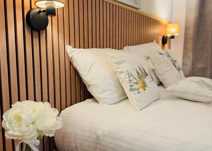 Vu Mont Blanc Parking Terrasse شامونكس